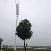 美化通信杆塔